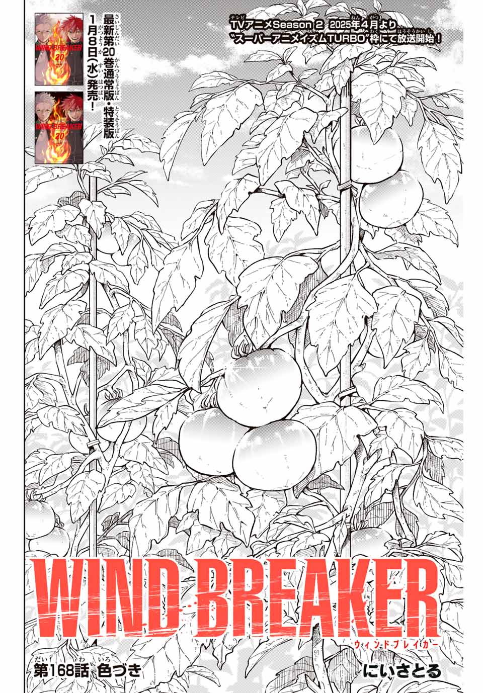 Windbreaker ウィンドブレイカー Wind Breaker (NII Satoru) Chap 168 - Next Chap 169