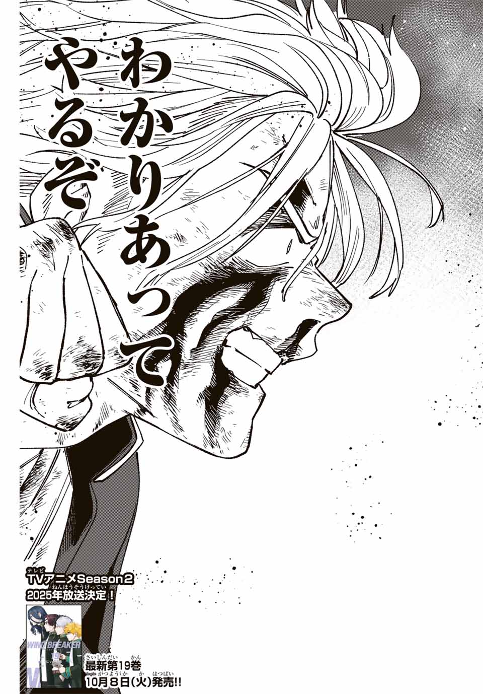Windbreaker ウィンドブレイカー Wind Breaker (NII Satoru) Chap 156 - Next Chap 157