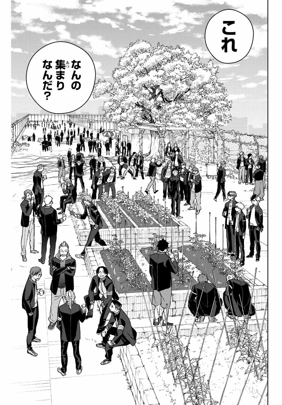 Windbreaker ウィンドブレイカー Wind Breaker (NII Satoru) Chap 62 - Next Chap 63