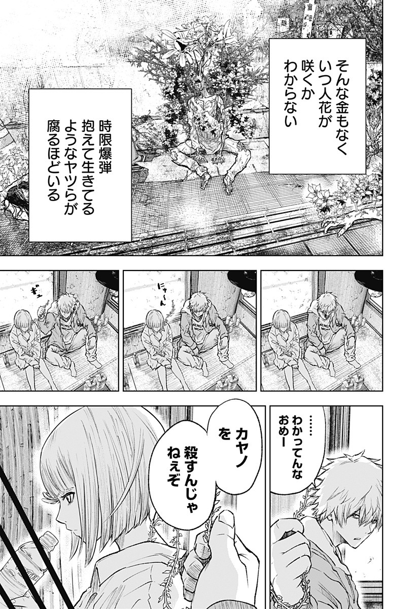 ワイルドストロベリー Chap 1 - Next Chap 2