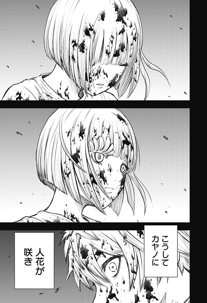 ワイルドストロベリー Chap 1 - Next Chap 2