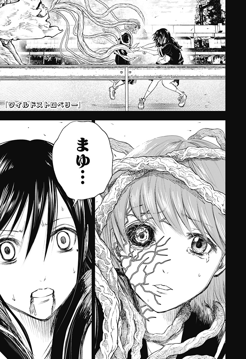 ワイルドストロベリー Chap 10 - Next Chap 11