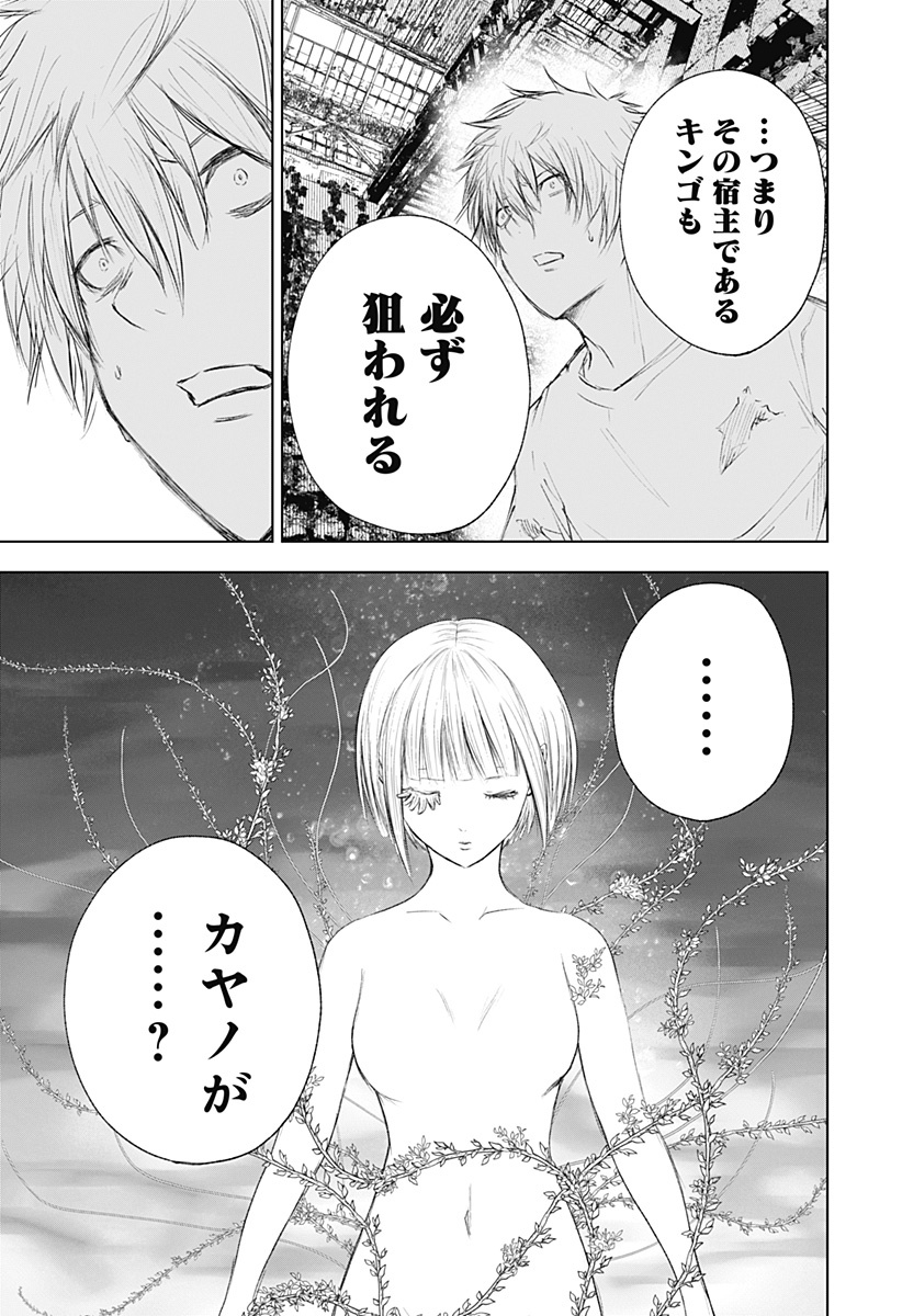 ワイルドストロベリー Chap 13 - Next Chap 14