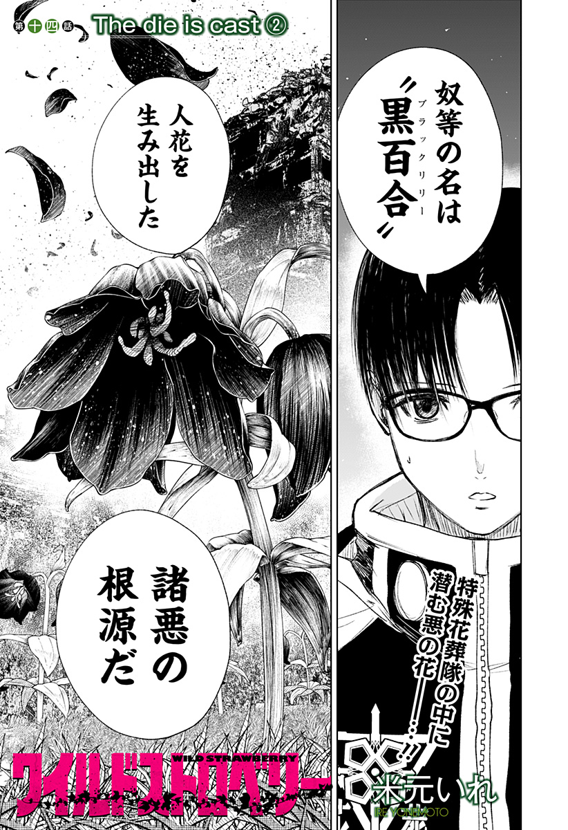 ワイルドストロベリー Chap 14 - Next Chap 15