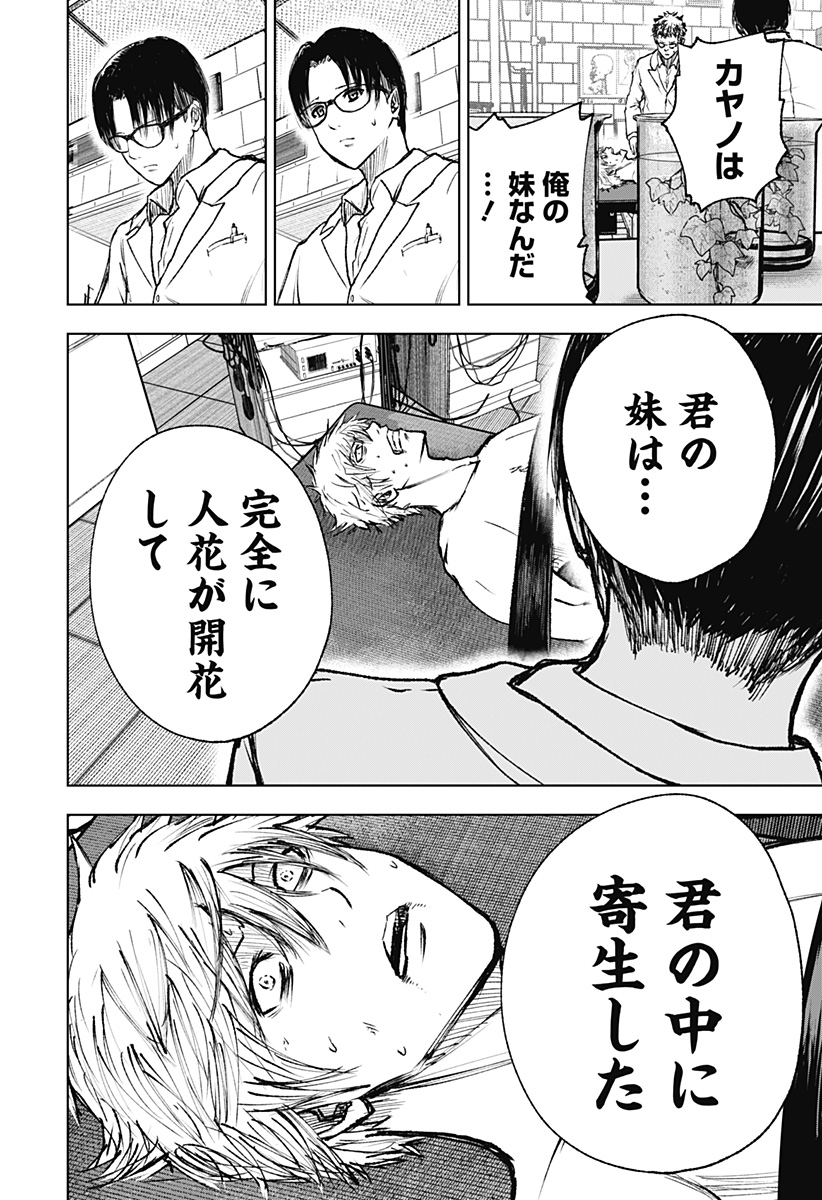 ワイルドストロベリー Chap 2 - Next Chap 3