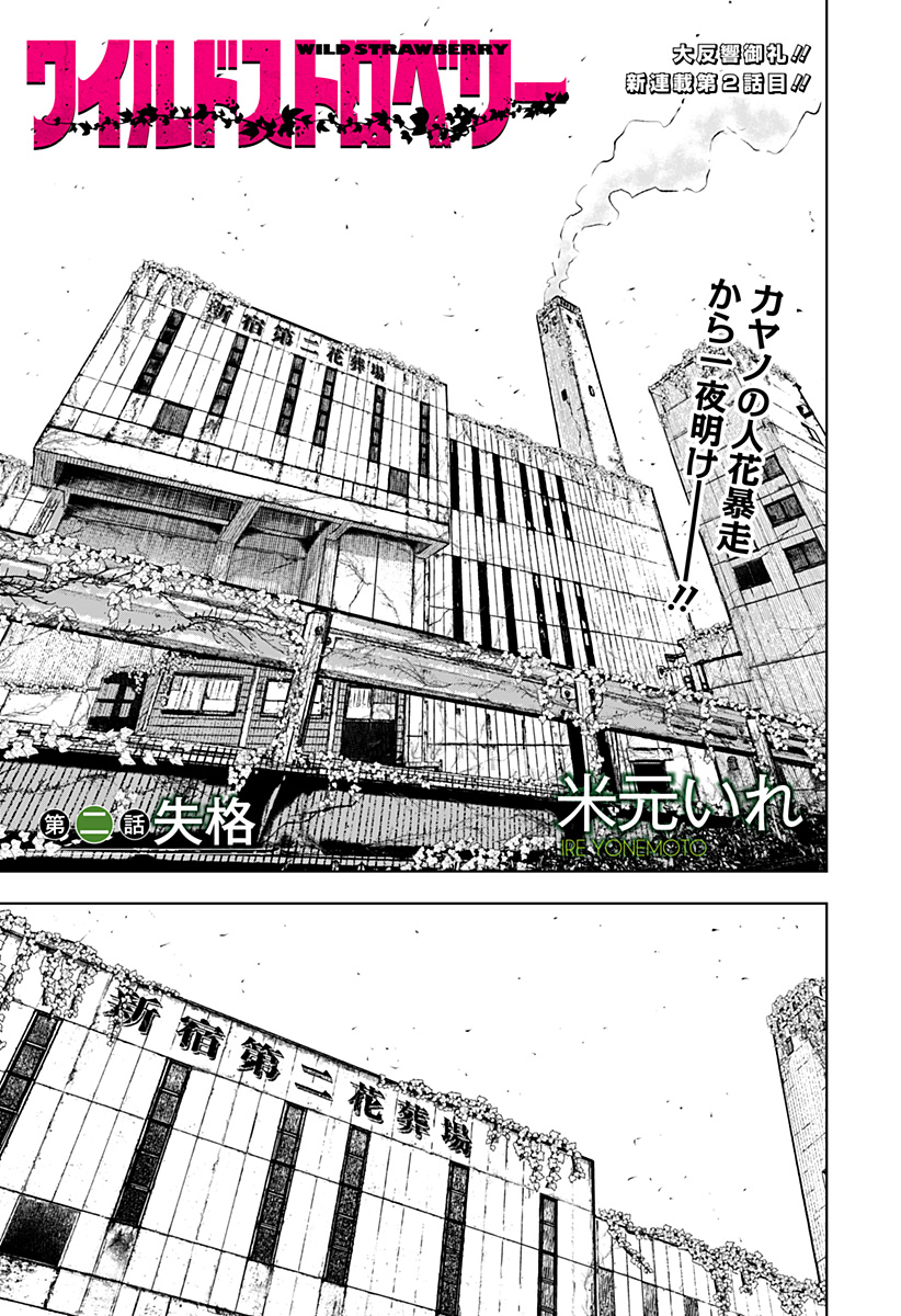 ワイルドストロベリー Chap 2 - Next Chap 3