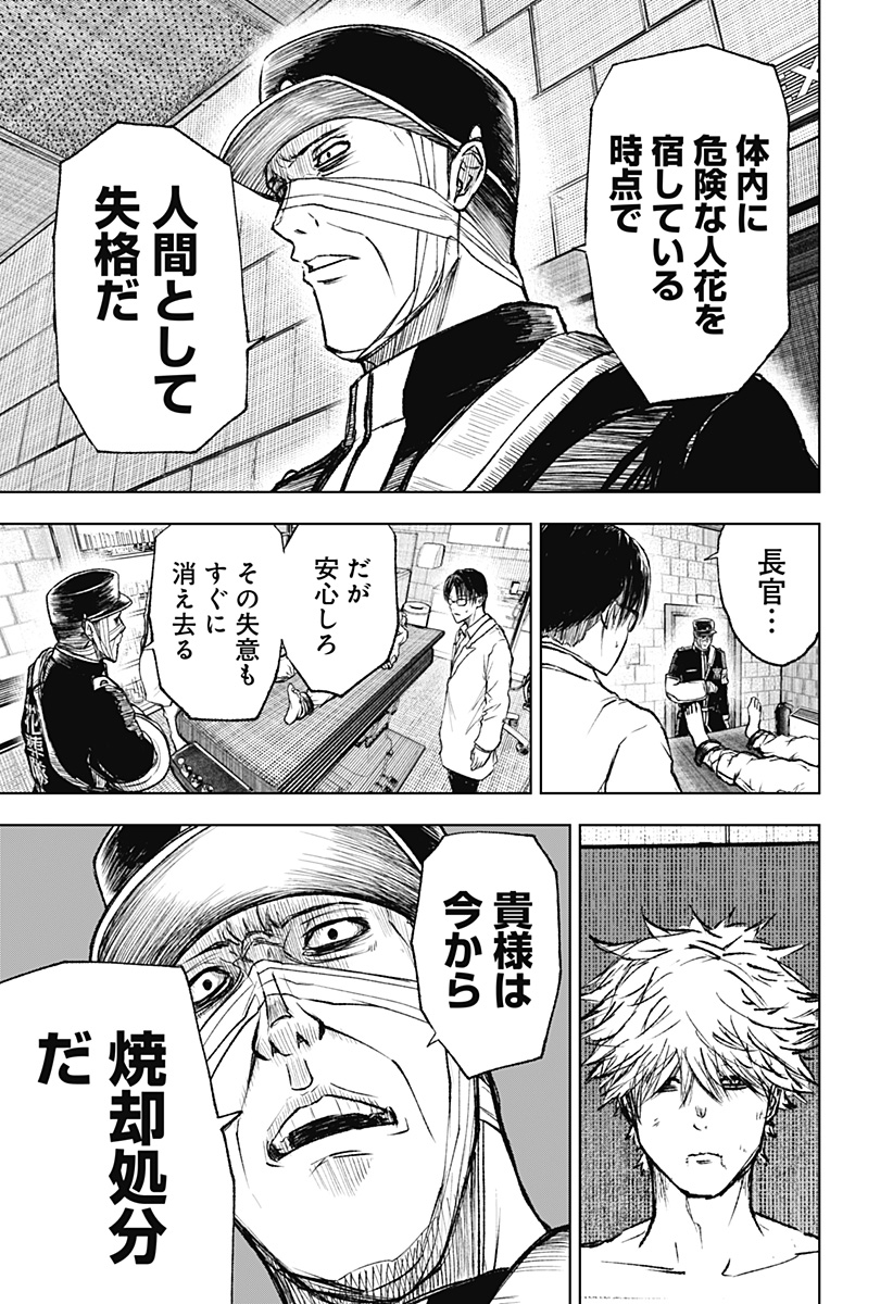 ワイルドストロベリー Chap 2 - Next Chap 3