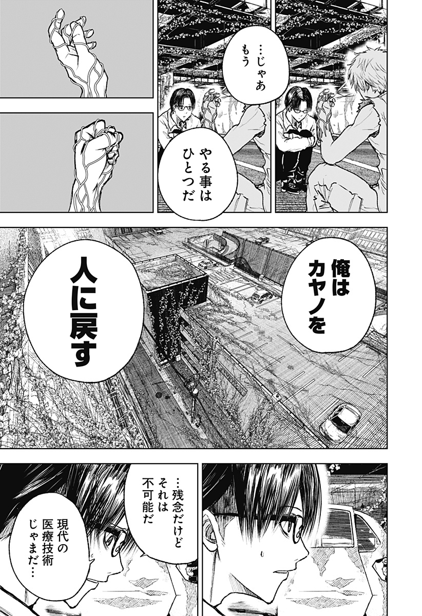 ワイルドストロベリー Chap 3 - Next Chap 4