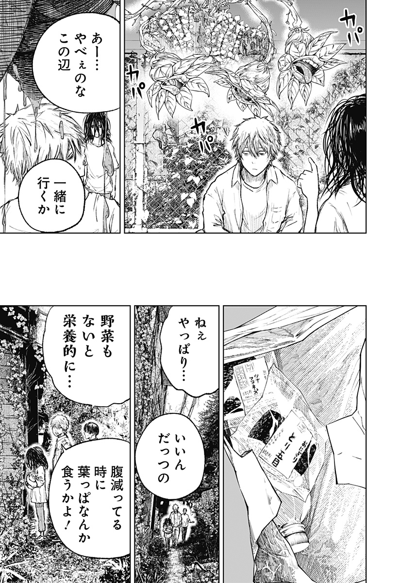 ワイルドストロベリー Chap 3 - Next Chap 4