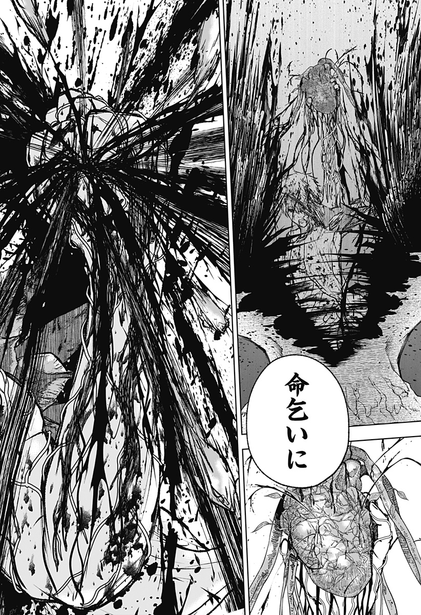 ワイルドストロベリー Chap 3 - Next Chap 4