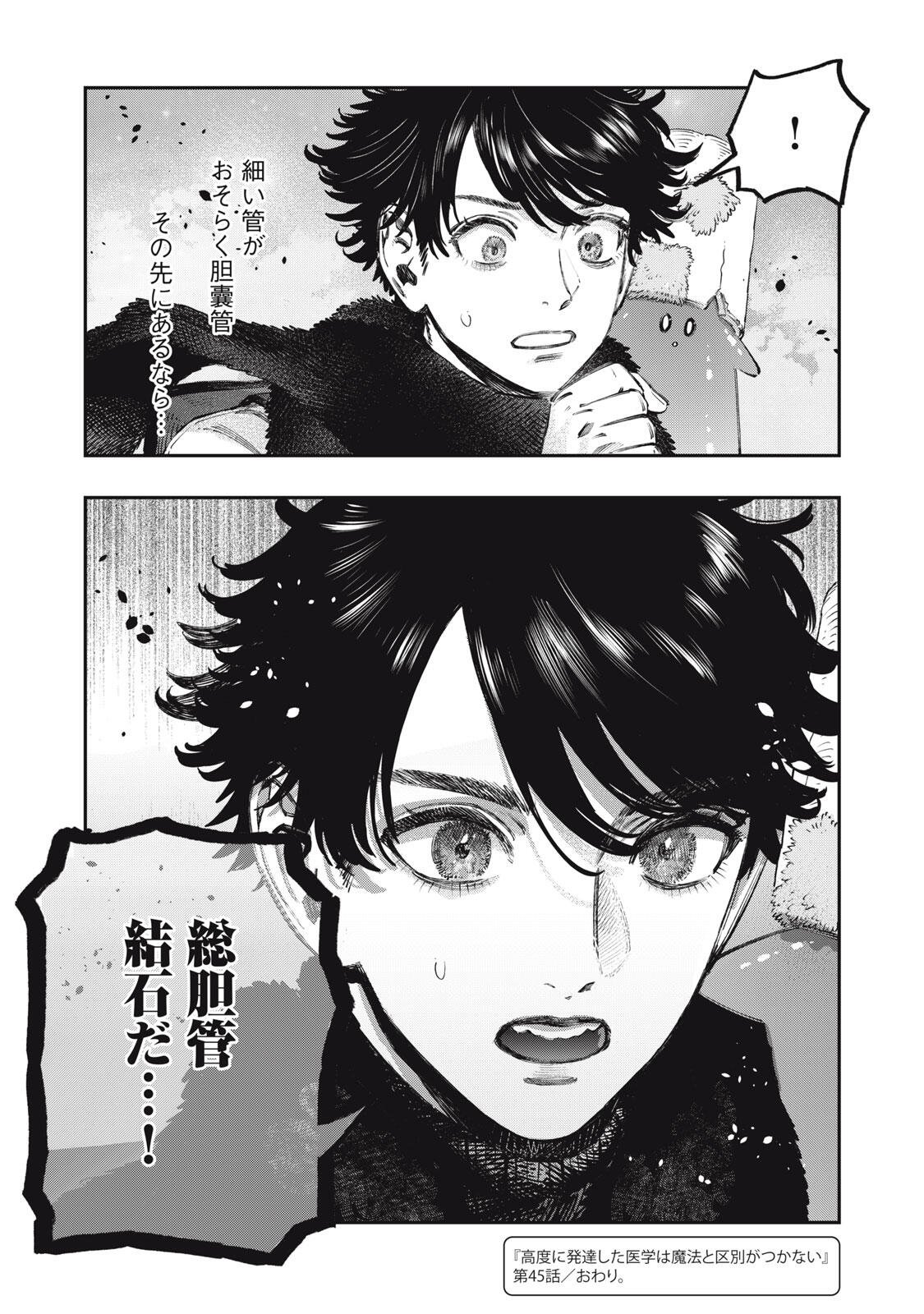 に発達した医学は魔法と区別がつかない Chap 45.2 - Next Chap 46.2
