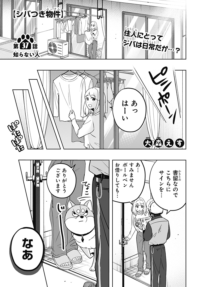 シバつき物件 Chap 37 - Next Chap 38