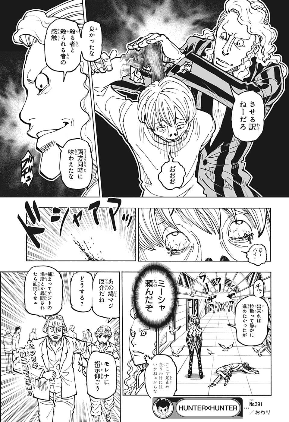 Hunter x Hunter Chap 391 - Next Chap 392
