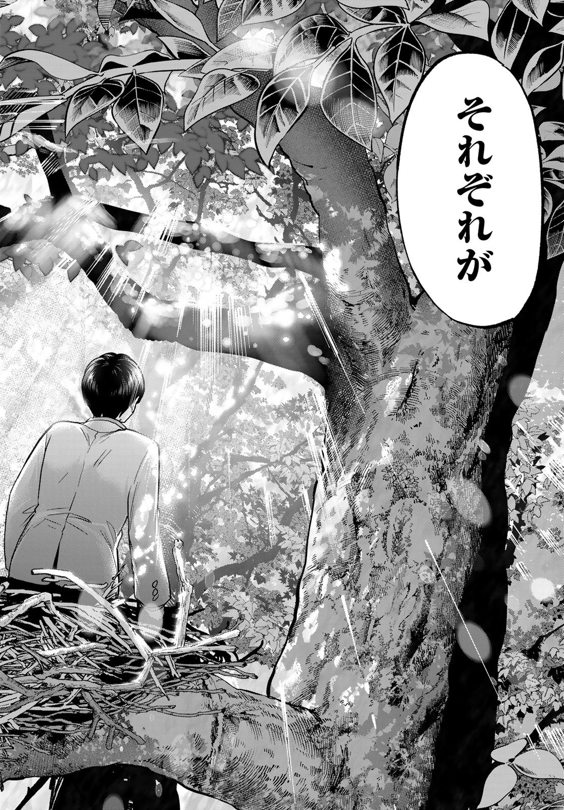 カッコウの許嫁 Chap 309 - Next Chap 310