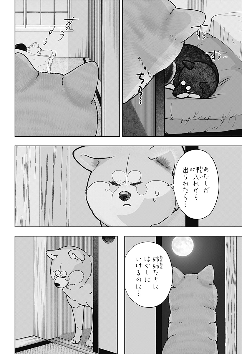 シバつき物件 Chap 59 - Next Chap 60