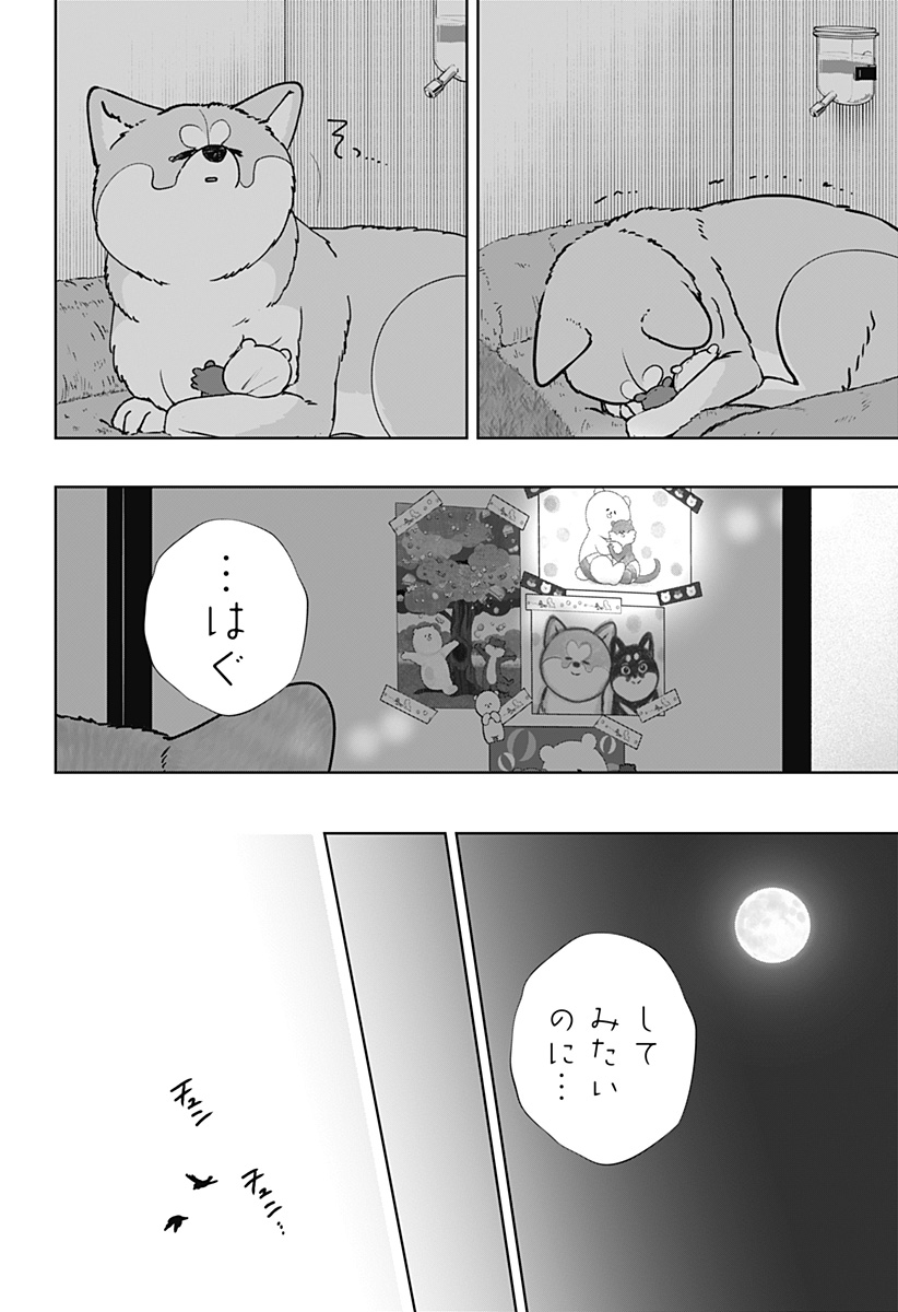 シバつき物件 Chap 59 - Next Chap 60