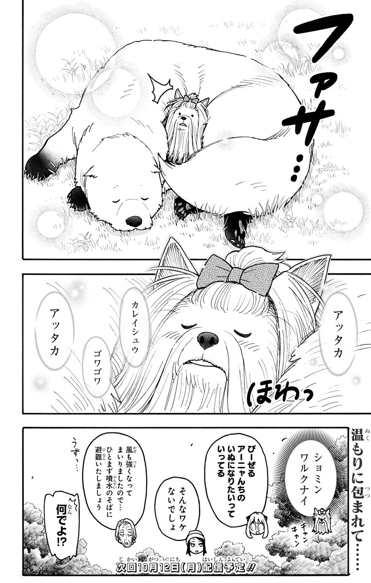 スパイファミリー Chap 140.5 - Next Chap 141.5