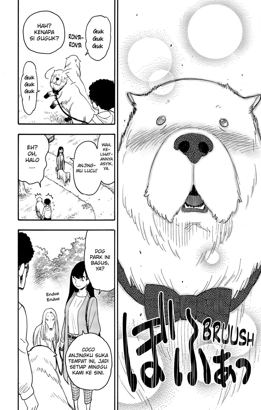 Spy X Family Chap 62.5 - Next Chap 63.5