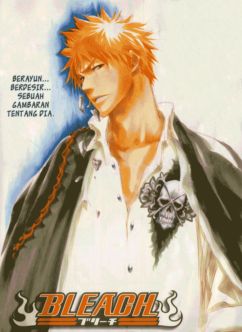 Bleach Chap 323 - Next Chap 324