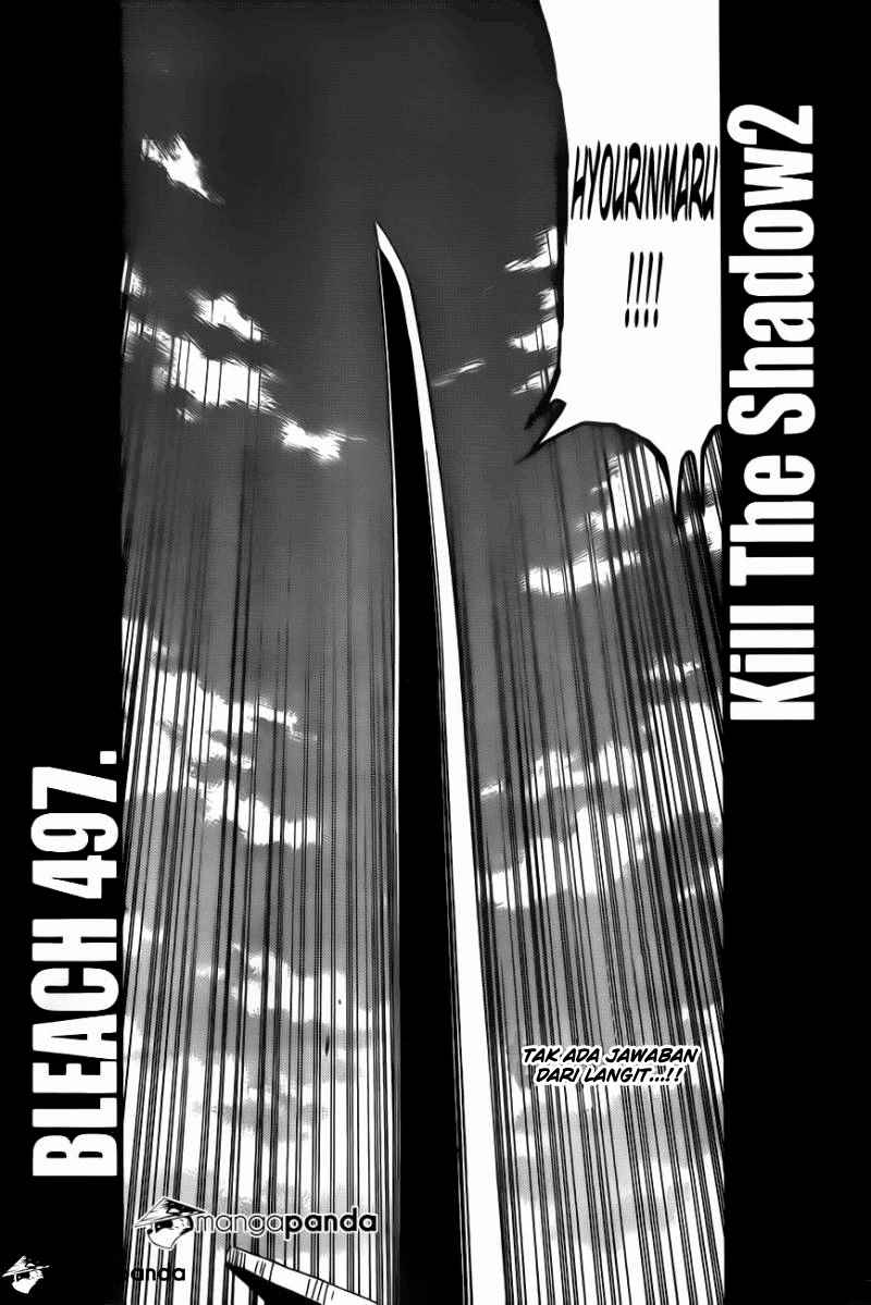 Bleach Chap 497 - Next Chap 498