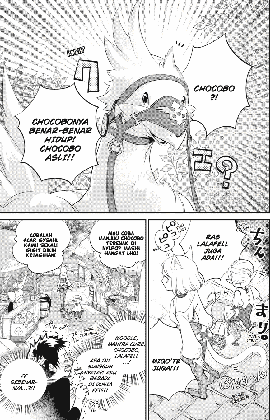 Final Fantasy: Lost Stranger Chap 1 - Next Chap 2