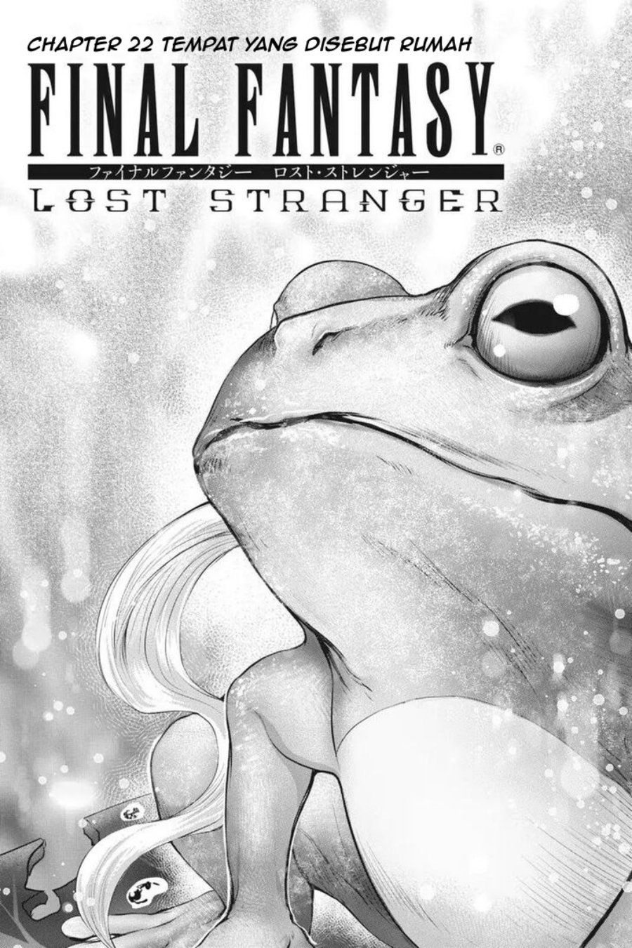 Final Fantasy: Lost Stranger Chap 22 - Next Chap 23