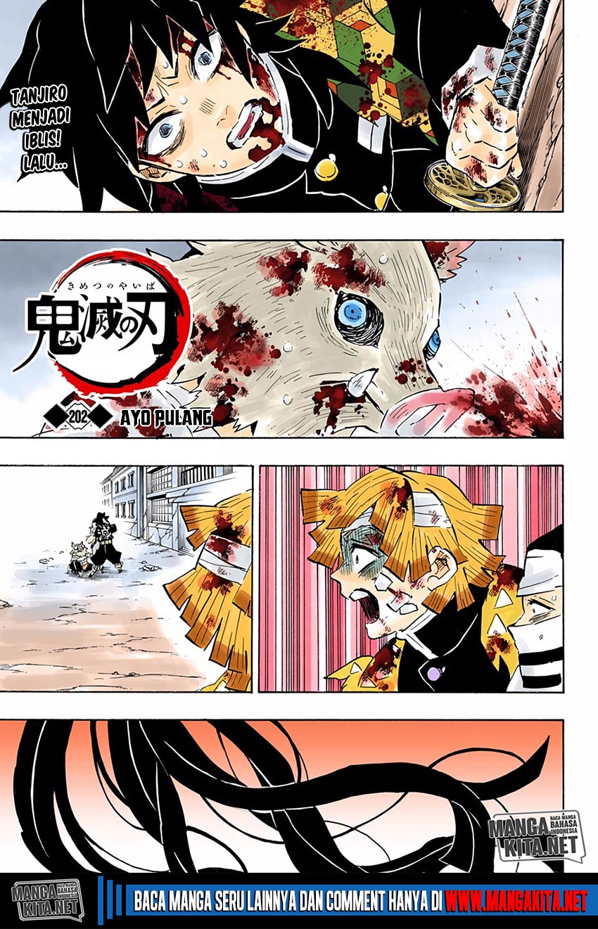 Kimetsu no Yaiba Chap 202.5 - Next Chap 203.5