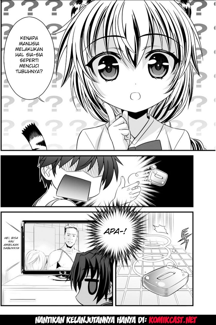 My Love Tiger Chap 6 - Next Chap 7