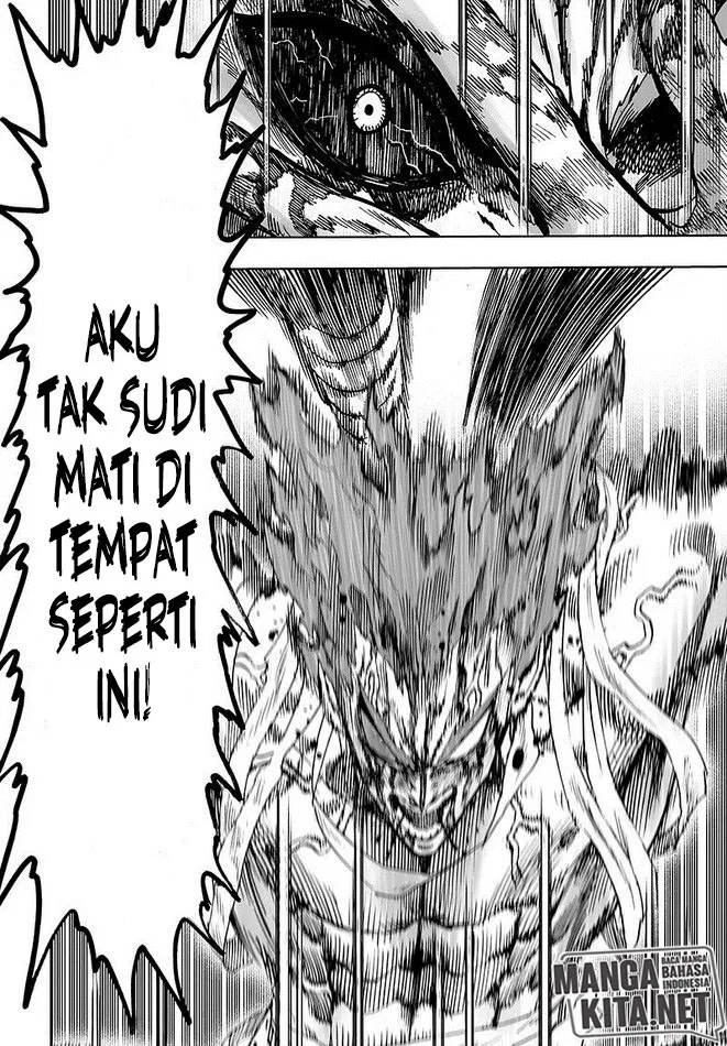 One Punch-Man Chap 132 - Next Chap 133