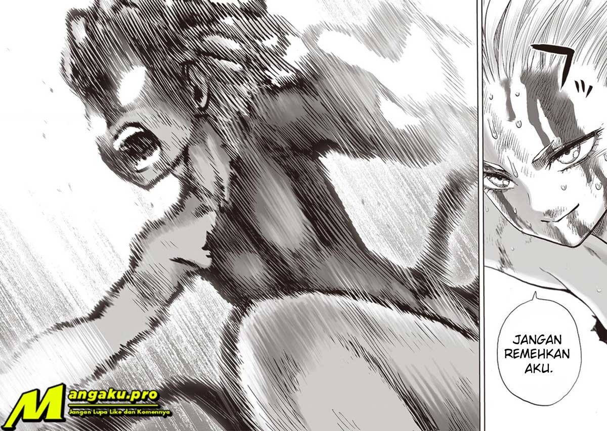 One Punch-Man Chap 187 - Next Chap 188