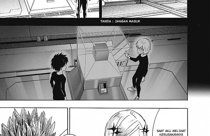 One Punch-Man Chap 246 - Next Chap 247