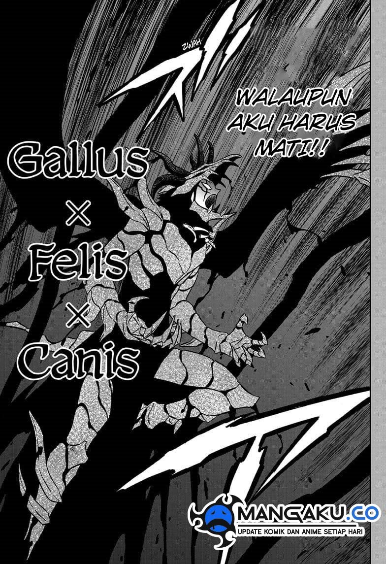 Black Clover Chap 375 - Next Chap 376