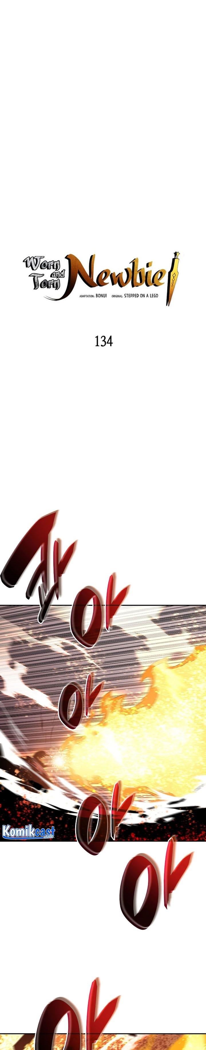 Worn and Torn Newbie Chap 134 - Next Chap 135
