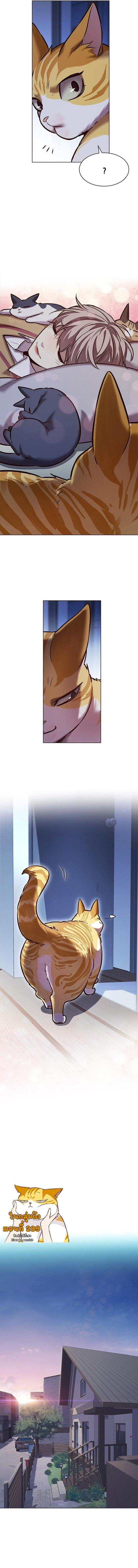 Eleceed Chap 229 - Next Chap 230