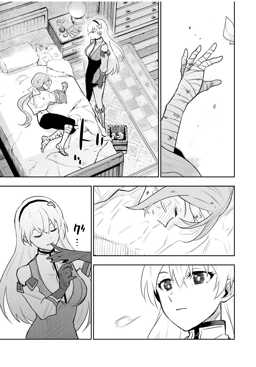 Mikata ga Yowa Sugite Hojo Mahou ni Toushite ita Kyuutei Mahou shi, Tsuihou Sarete Saikyou wo Mezasu Chap 26 - Next Chap 27