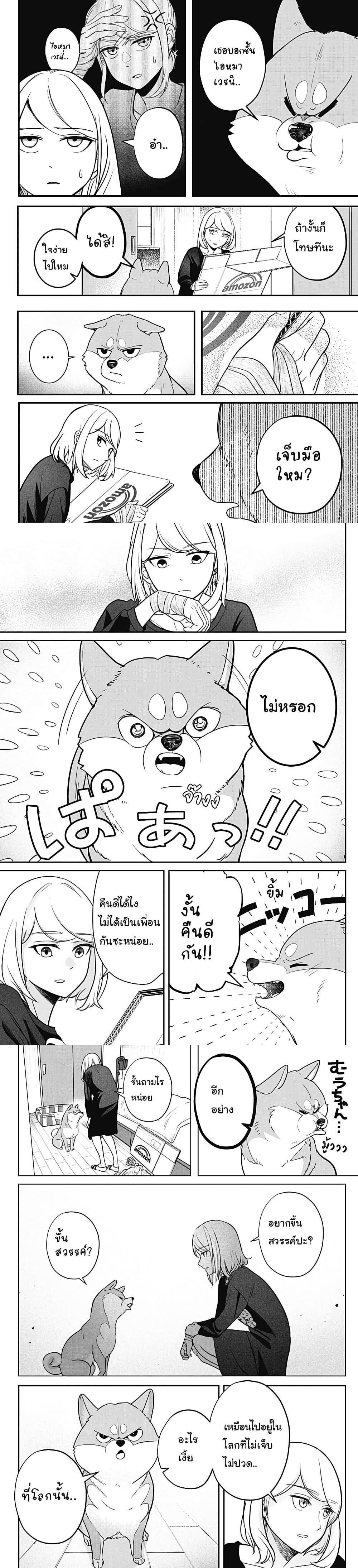 Shiba Inu Rooms Chap 1 - Next Chap 2