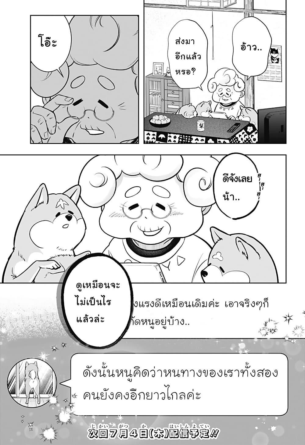 Shiba Inu Rooms Chap 2 - Next Chap 3