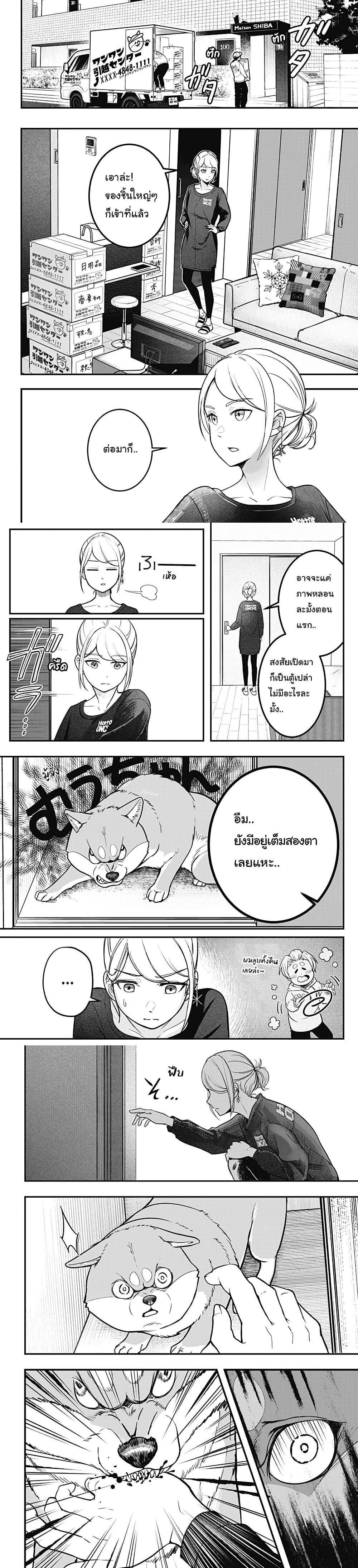 Shiba Inu Rooms Chap 1 - Next Chap 2