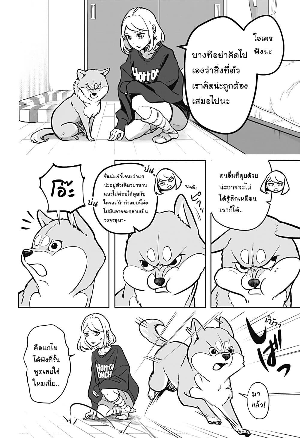 Shiba Inu Rooms Chap 2 - Next Chap 3