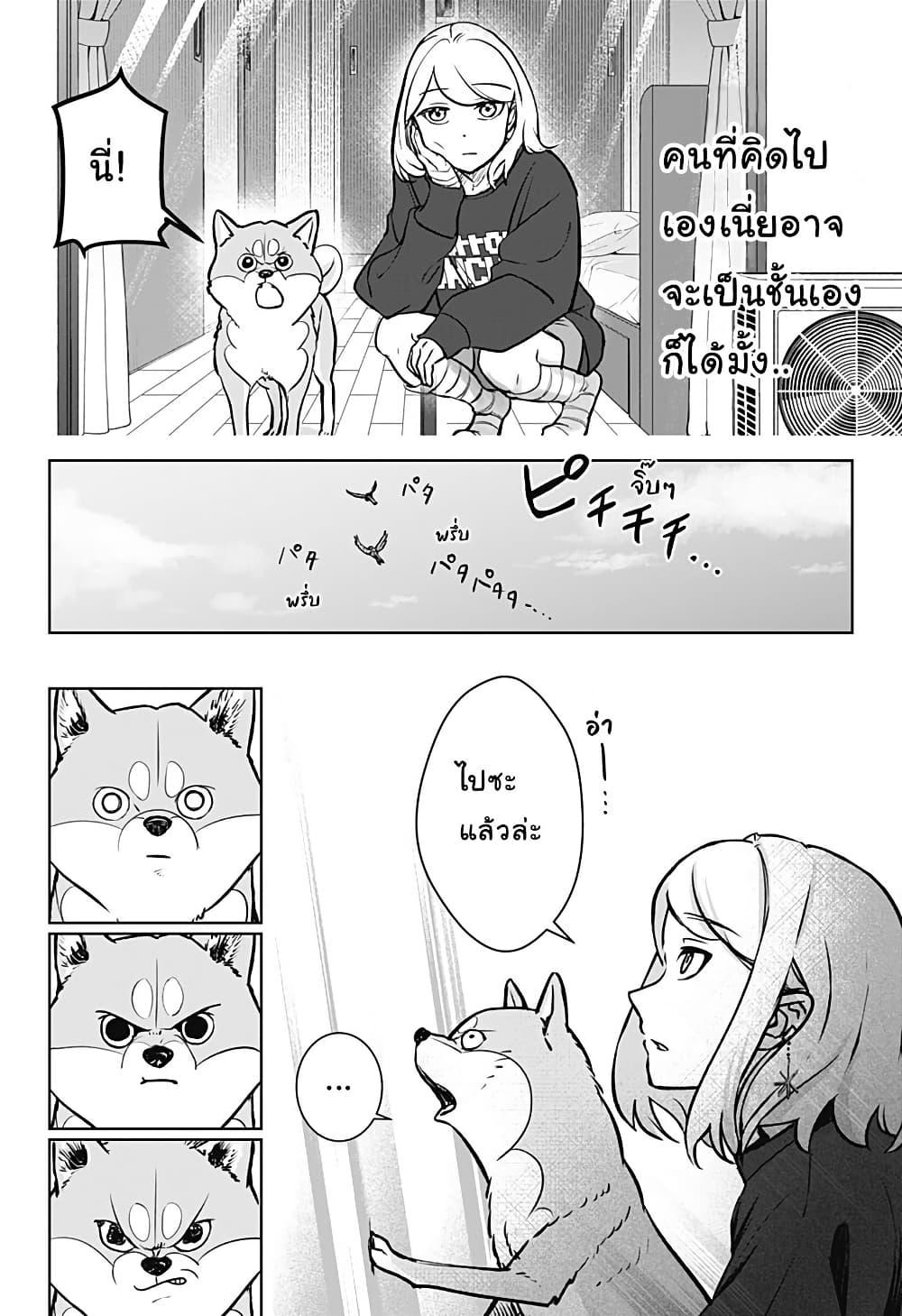 Shiba Inu Rooms Chap 2 - Next Chap 3