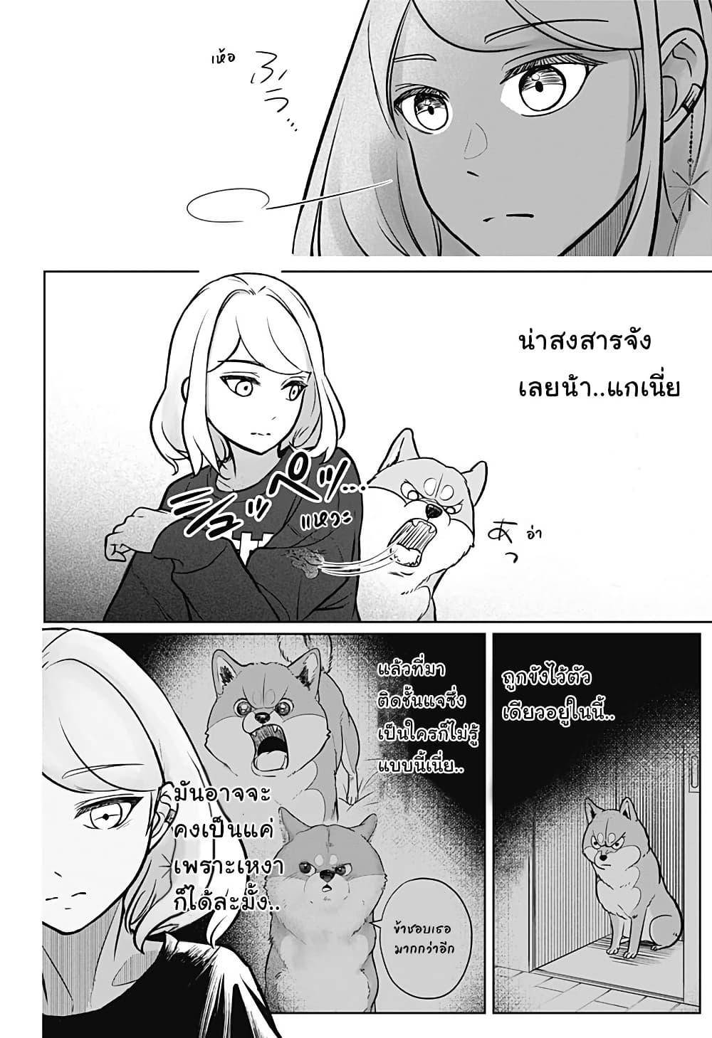 Shiba Inu Rooms Chap 2 - Next Chap 3