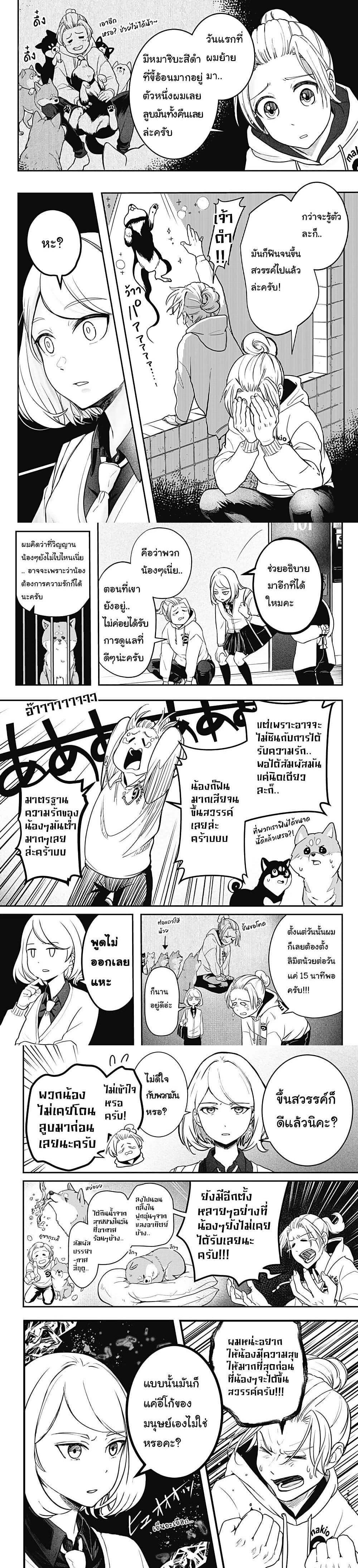 Shiba Inu Rooms Chap 1 - Next Chap 2