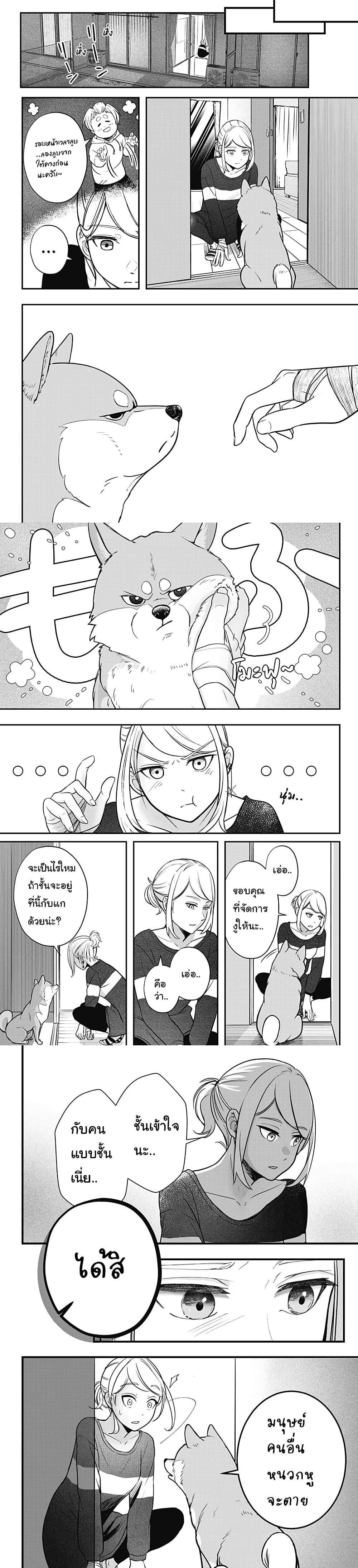 Shiba Inu Rooms Chap 1 - Next Chap 2