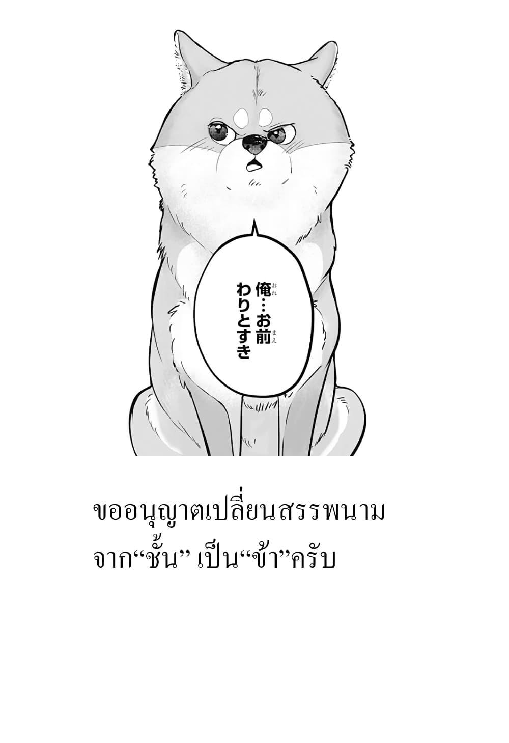 Shiba Inu Rooms Chap 2 - Next Chap 3