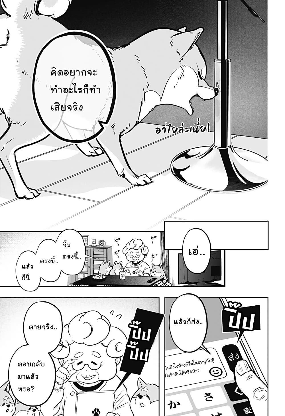 Shiba Inu Rooms Chap 2 - Next Chap 3