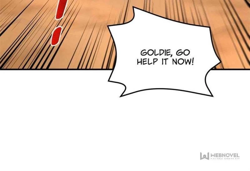 Monster Pet Evolution Chap 156 - Next Chap 157