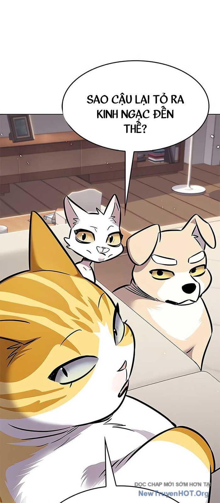 Hoá Thân Thành Mèo Chap 375 - Next Chap 376