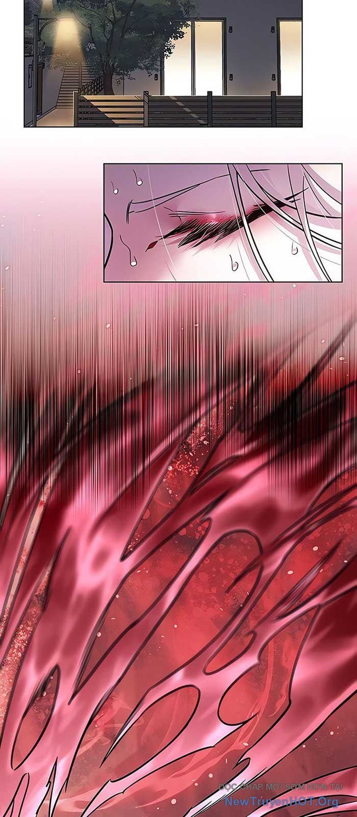 Hoá Thân Thành Mèo Chap 375 - Next Chap 376