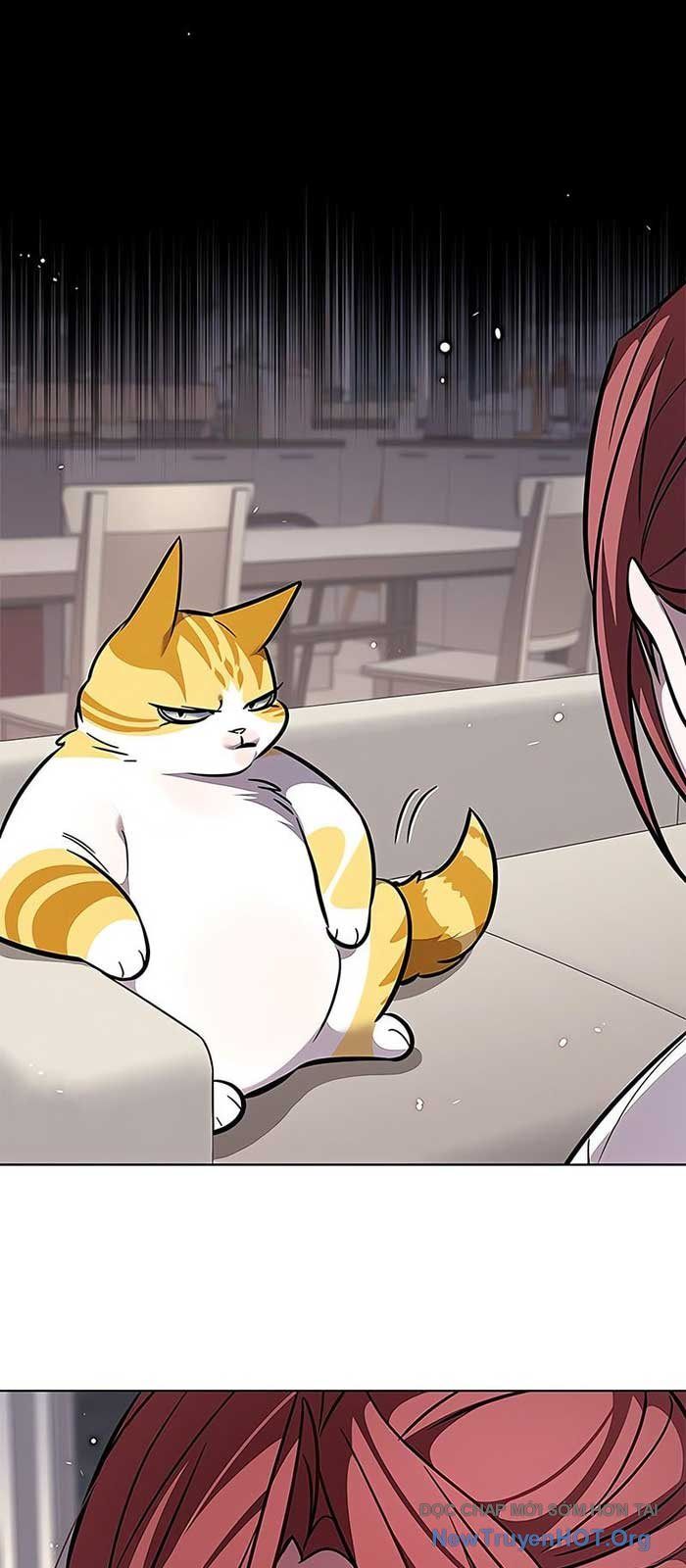 Hoá Thân Thành Mèo Chap 375 - Next Chap 376