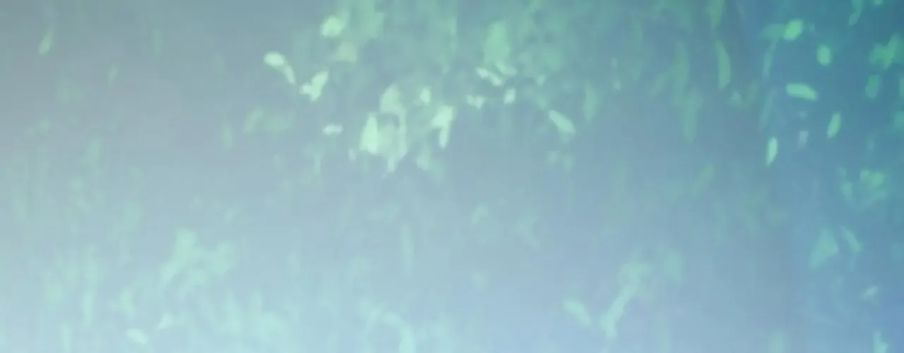 Toàn Dân Chuyển Chức : Duy Ta Vô Chức Tán Nhân Chap 191 - Next Chap 192